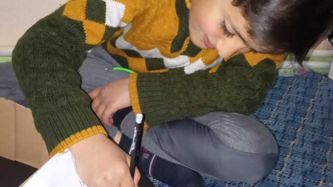 'Hakkari Başaracağım Diyor'' projesi ''Okuma Alışkanlığı'' faaliyet alanı kapsamında 3. sınıf öğrencileri okudukları kitaplardan yola çıkarak belirli hikayeleri üç boyutlu olarak tasarladılar.